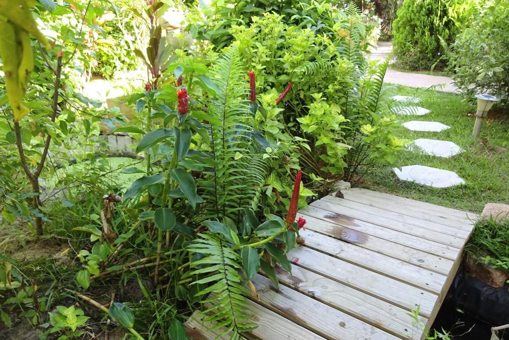 Buisson Guesthouse La Digue Kültér fotó