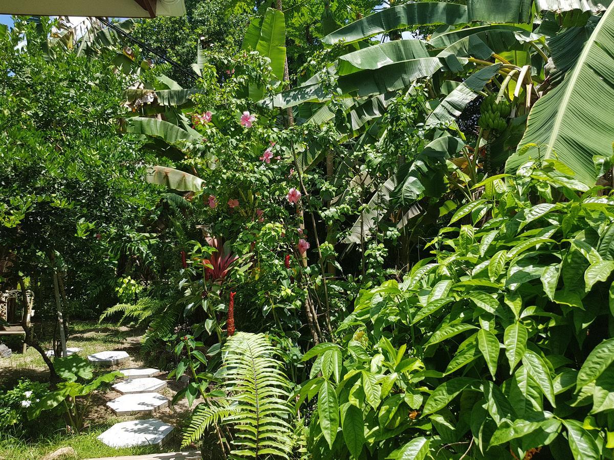 Buisson Guesthouse La Digue Kültér fotó